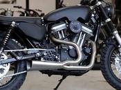 Monkee