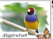 programmi gratis modificare immagini