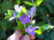 Vinca… migliore!