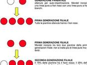 leggi Mendel loro importanza