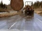 Eccezzionali momenti vita pericolo(Foto)