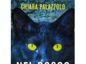 Novità: “Nel bosco Aus” Chiara Palazzolo