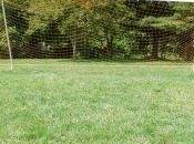 campo…..nel calcio!