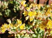 stagione: primavera