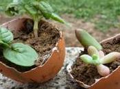 Gusci uova creativi vasetti?