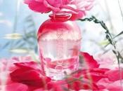 Pivoine Flora, ecco nuove fragranze L’Occitane