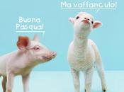 Buona Pasqua GugolRep!