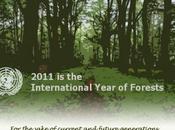 2011 Anno Mondiale delle Foreste