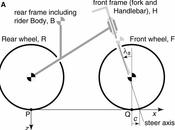 Fisica &amp; bicicletta