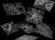 Economist crea pensatoio geolocalizzato lettori