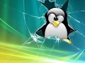 Installare Programmi Windows Linux Vineryard