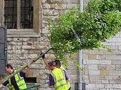 Royal wedding: foresta incantata chiesa