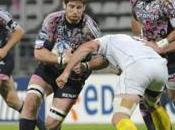 Stade primo finalista d'Europa