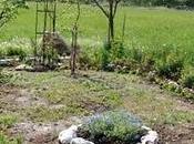 Garden progress