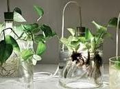 Vase Leuchte Miriam Aust