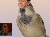 Silvio Passerottino. bacino Silviuccio fan.