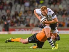 Zebre casa Cheetahs. Blacks asfaltano Sudafrica, l’Australia batte l’Argentina
