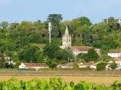 Master Universitario Cognac