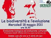 Evolution Cislago (VA)