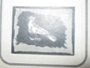 Accortezza