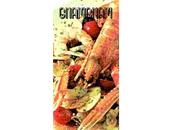 Bruschetta frutti mare