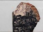 Trovato Israele testo cuneiforme