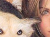 Jennifer Aniston lutto, morto cagnolino Norman