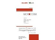 Micro-Cosmi mostra Soqquadro Reggio Emilia