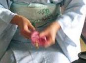 Cerimonia giapponese Jesi Macerata