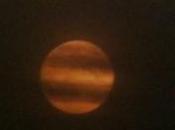 luna strisce
