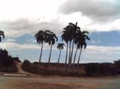 false illusioni campo cubano