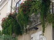 Balconi fioriti Ortigia _Siracusa