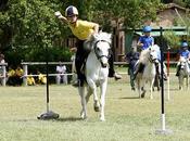 giornata cavalli, sorpresa casa