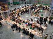 Modena Fantasy: come andata