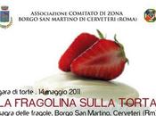 Fragolina sulla Torta