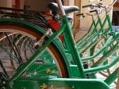 ruote ruotano. bici verdi della Provincia Foggia scompaiono…