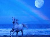 Suggerimenti Vivere l’istante presente Dugpa Rimpoce