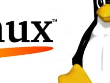 Arriva Linux Kernel