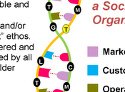 Social Business DNA: visual