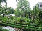 Amsterdam. Orto botanico/1