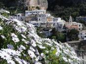 DIWINE FOOD passeggiata Positano...