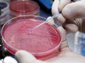 Batterio killer, continuano analisi: potrebbe essere resistente antibiotici