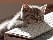 Just another manic Monday