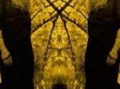 Austra Lose Video Testo Traduzione