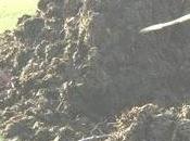 tristezza, bisogna anche darne notizia.