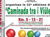 Settembre 2011: "33^ Caminada Viulett" Bollate (MI).