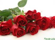 Tempo rose