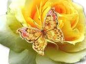 Poesie vetrina paola