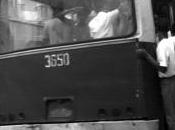Guevara cuba trastevere