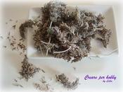 Biscotti alla lavanda